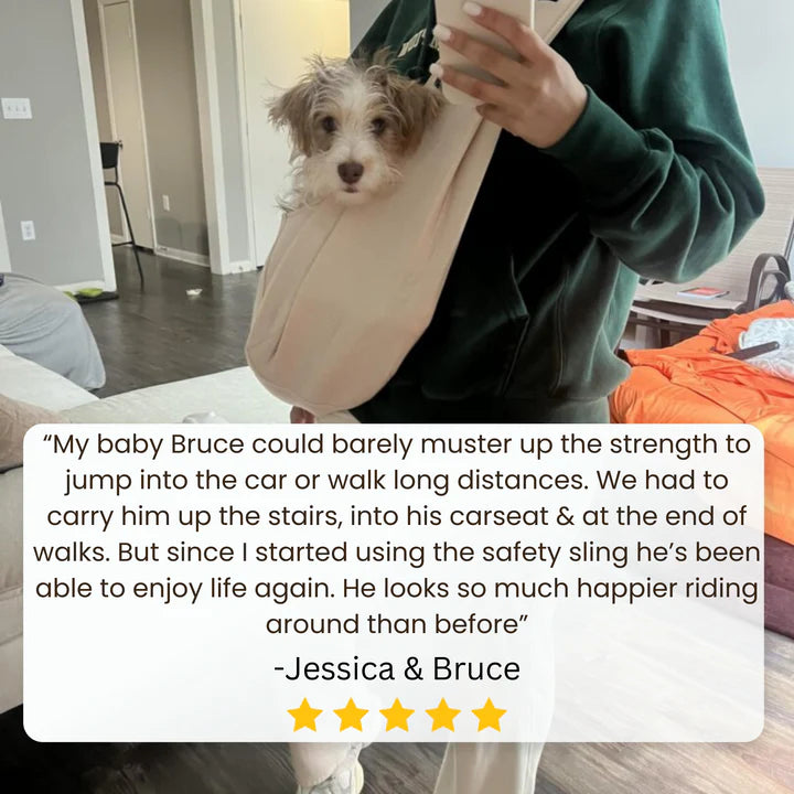 PawPort™ - Safety Sling