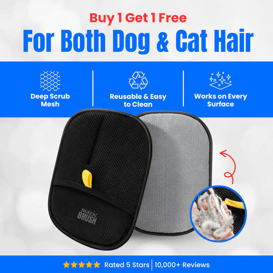 The Magic Brush™ - Buy 1 Get 1 Free