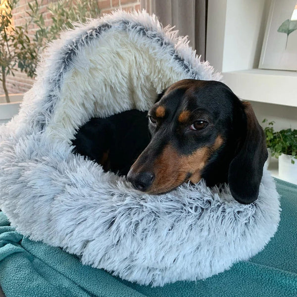 SnuggleCove™ - Plush Fluffy Dog and Cats Round Bed