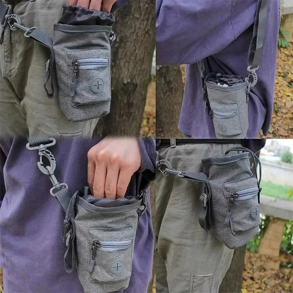 3-in-1 Walking Bag