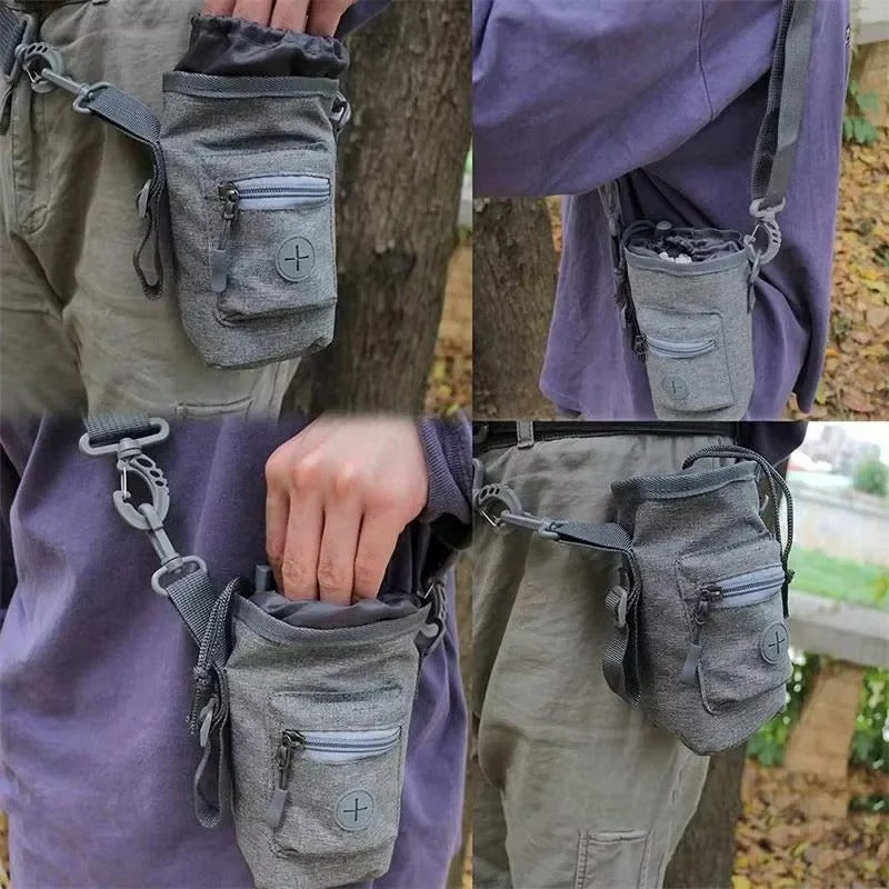 3-in-1 Walking Bag