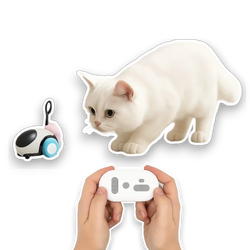 Pawsome Chaser™ RC 1.0
