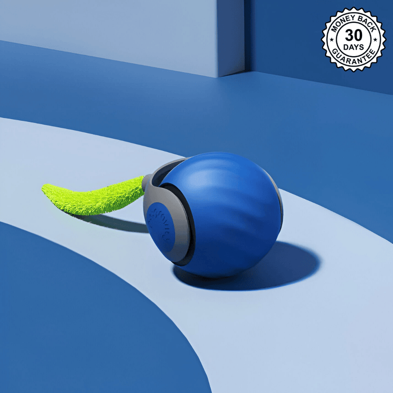 SpeedyTail 2.0™ - Smart Pet Toy (3PCS)