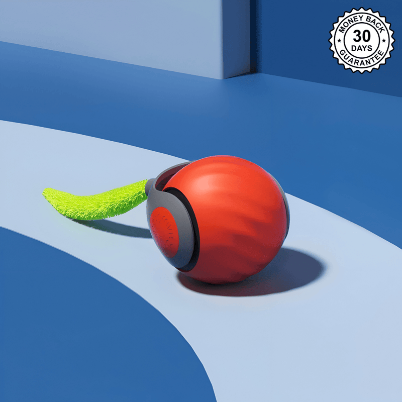 SpeedyTail 2.0™ - Smart Pet Toy (3PCS)