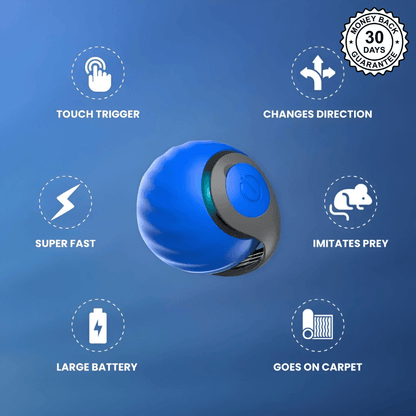 SpeedyTail 2.0™ - Smart Pet Toy (3PCS)