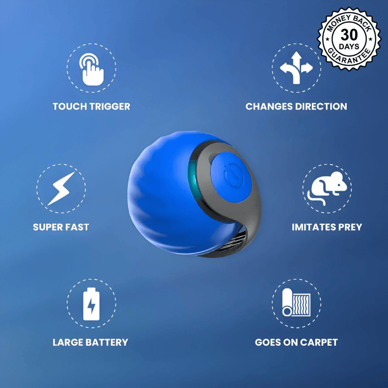 SpeedyTail 2.0™ - Smart Pet Toy (3PCS)