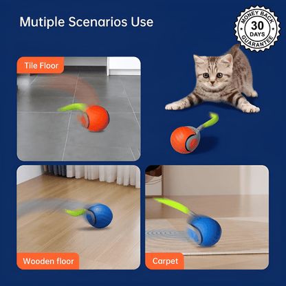 SpeedyTail 2.0™ - Smart Pet Toy (3PCS)