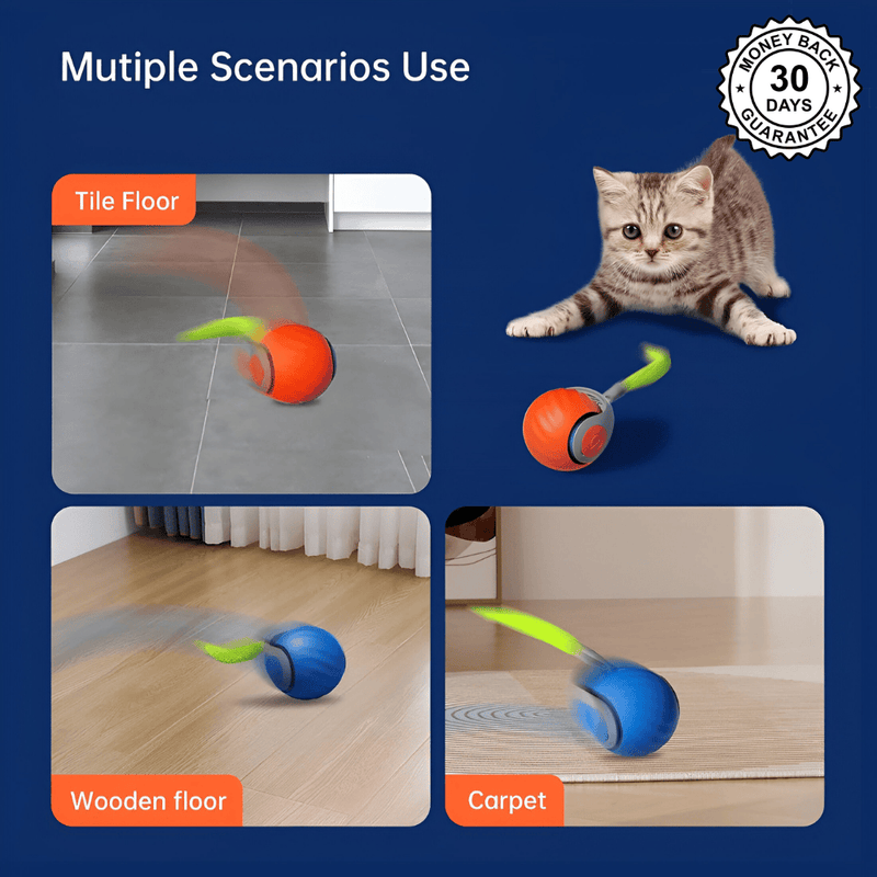 SpeedyTail 2.0™ - Smart Pet Toy (3PCS)