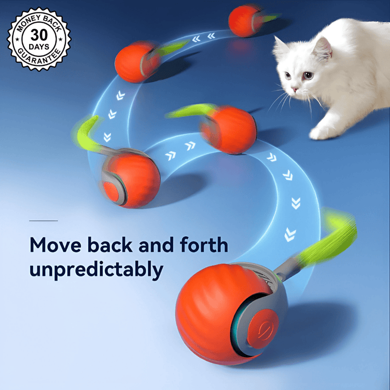 SpeedyTail 2.0™ - Smart Pet Toy (3PCS)