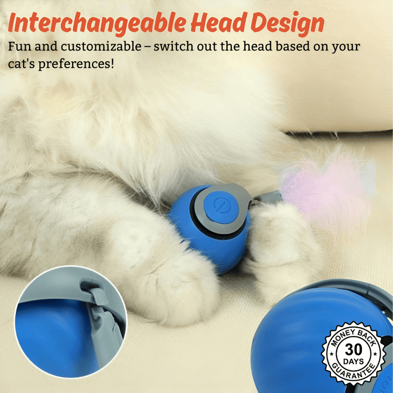 SpeedyTail 2.0™ - Smart Pet Toy (3PCS)