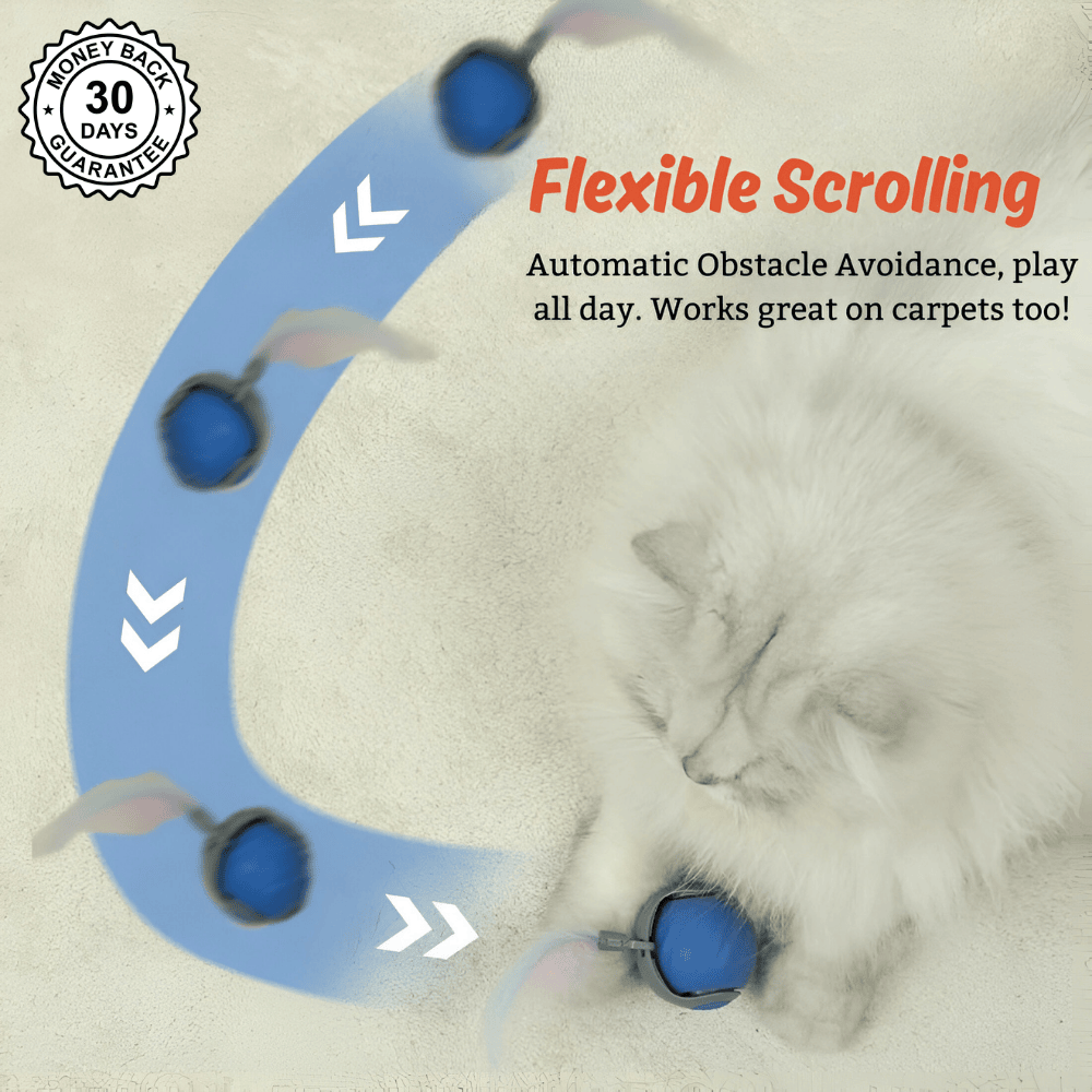 SpeedyTail 2.0™ - Smart Pet Toy (3PCS)