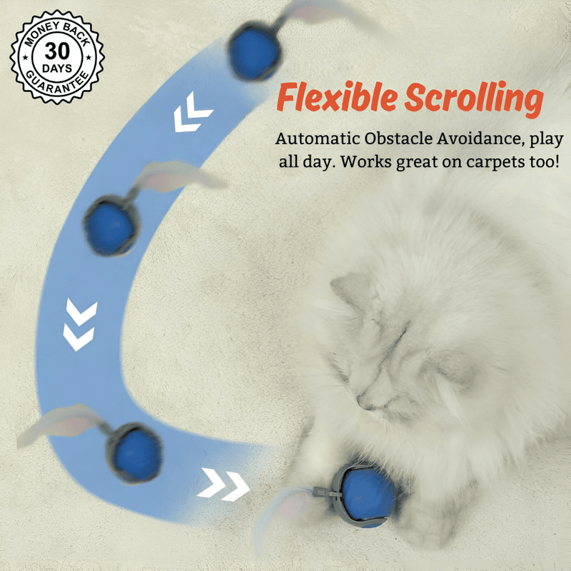 SpeedyTail 2.0™ - Smart Pet Toy (3PCS)